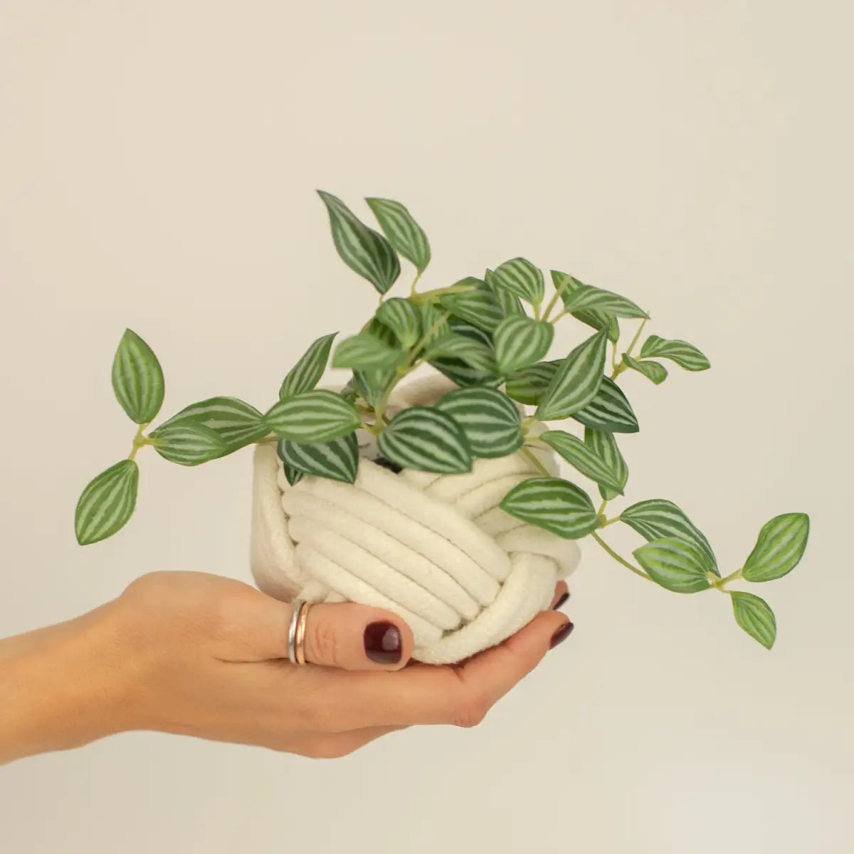 Mini Unbound Planter White - Starfish Project