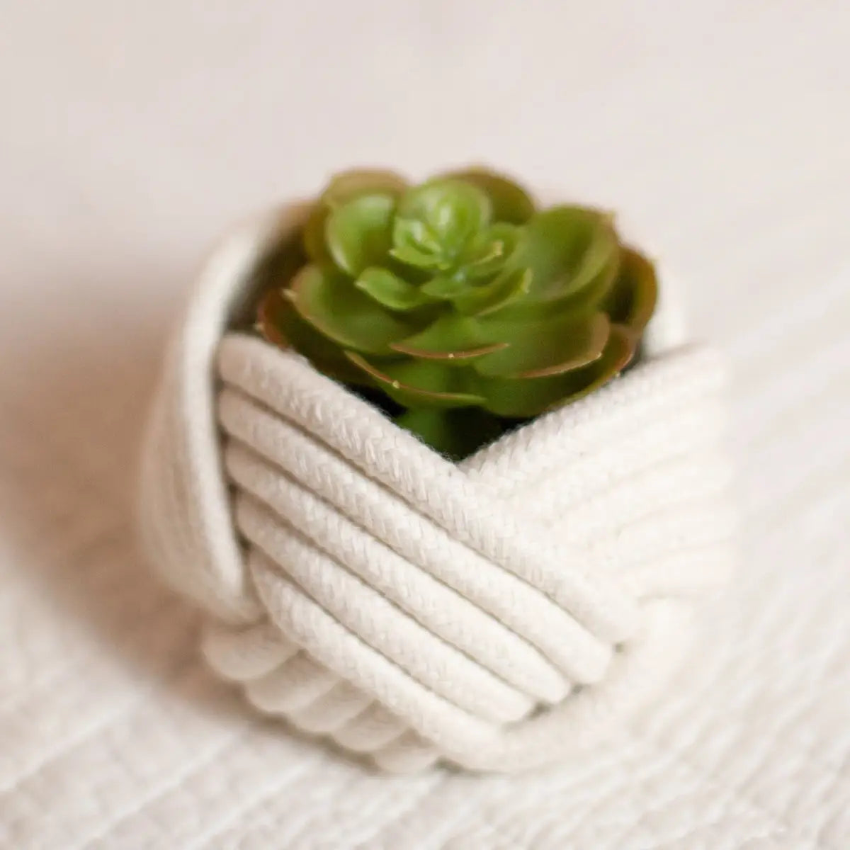 Mini Unbound Planter White - Starfish Project