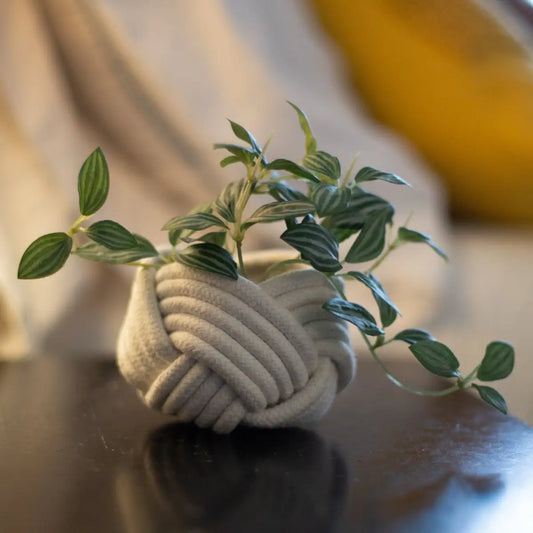 Mini Unbound Planter White - Starfish Project