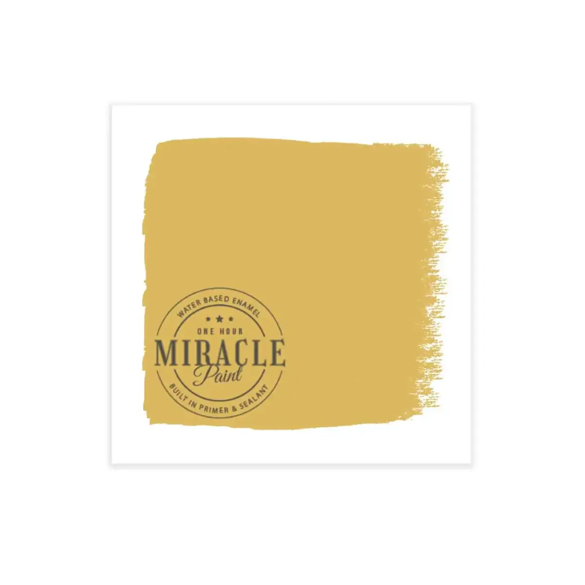 Miracle Paint Bundle - Holey Moley - Amy Howard At Home