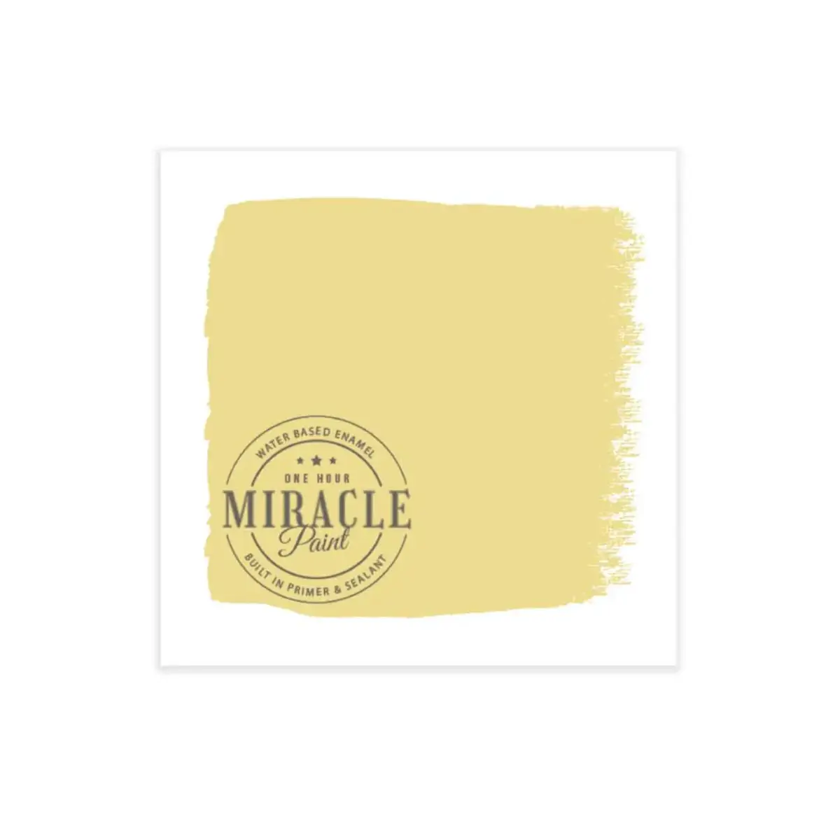 Miracle Paint Bundle - Palm Beach - Amy Howard At Home