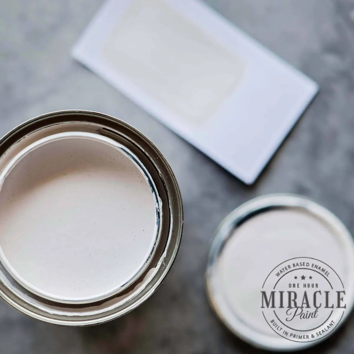 Miracle Paint Bundle - Pardon My French - Amy Howard At Home
