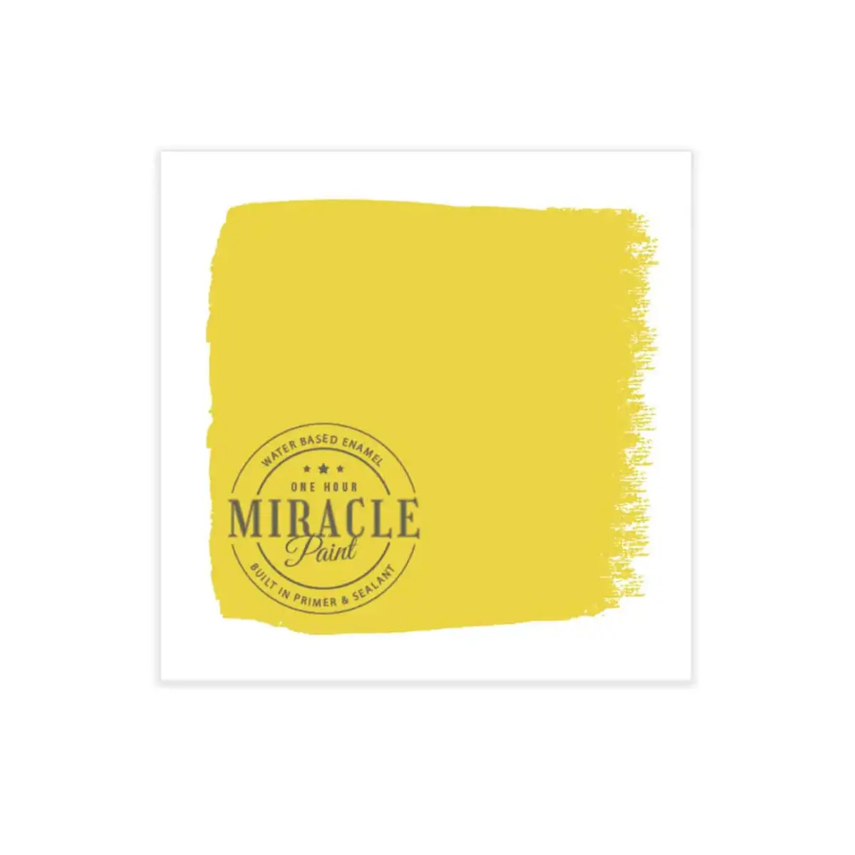 Miracle Paint Bundle - Sunshine on my Shoulders - Amy Howard At Home