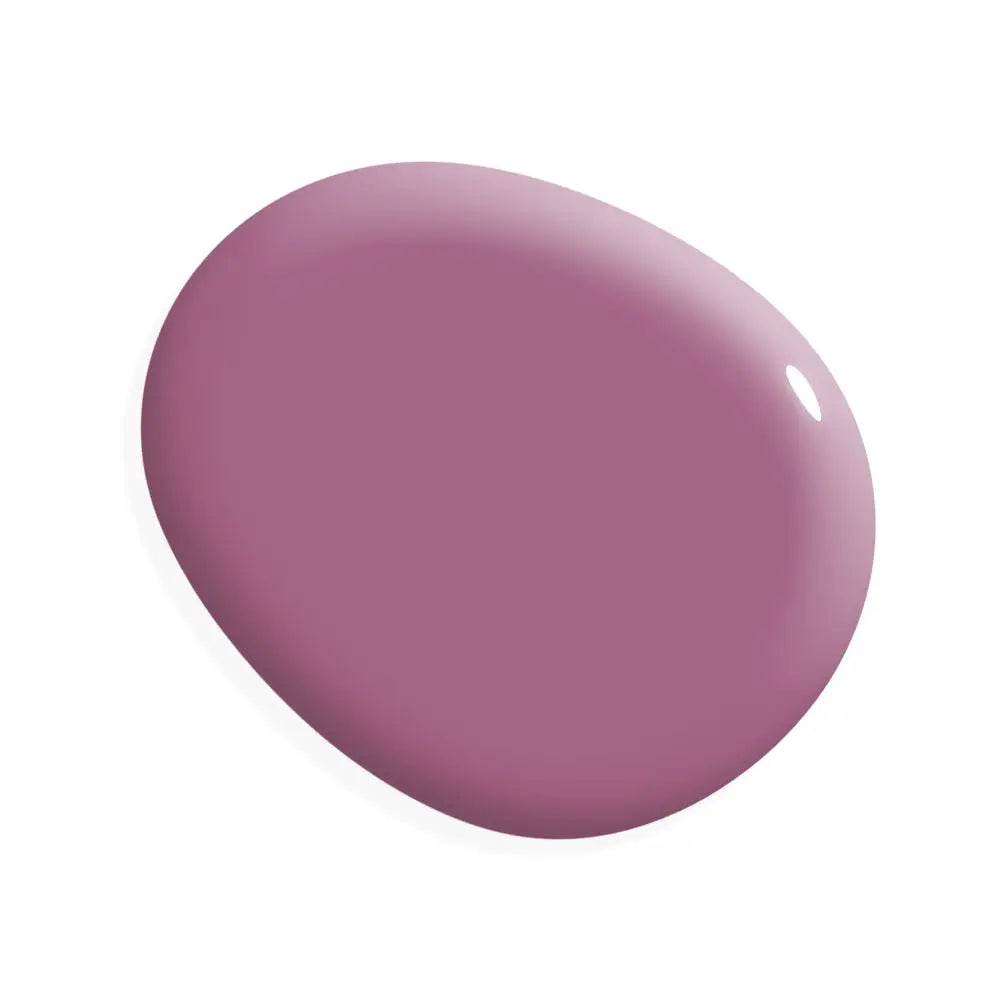 Miracle Paint - Orchid (32 oz.) - Amy Howard At Home