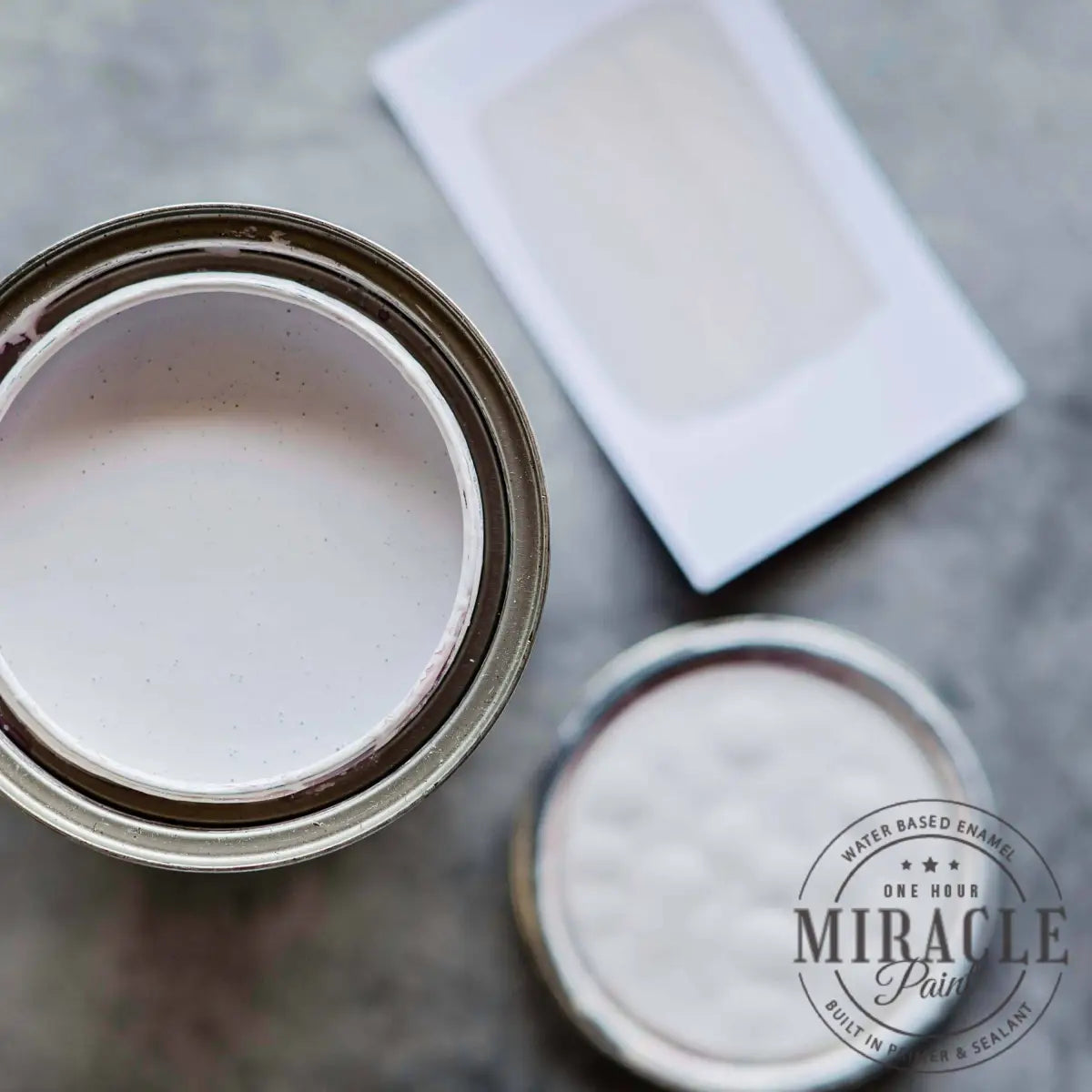 Miracle Paint - Pardon My French - 32 oz - Amy Howard At Home