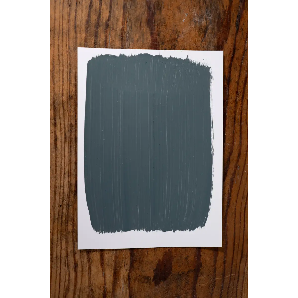 Misty Forest - Manor Borne Wall Paint - Amy Howard At Home