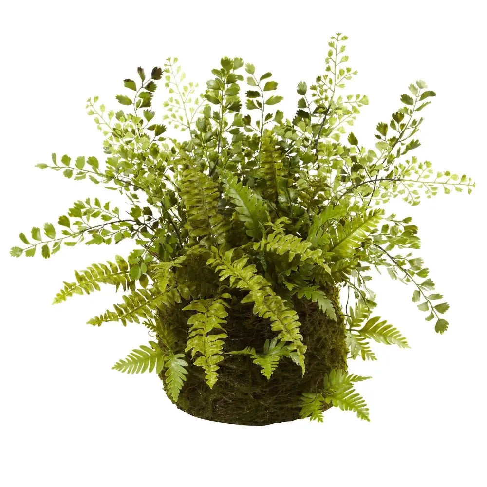 Mixed Fern w/Twig and Moss Basket - Nearly Natural