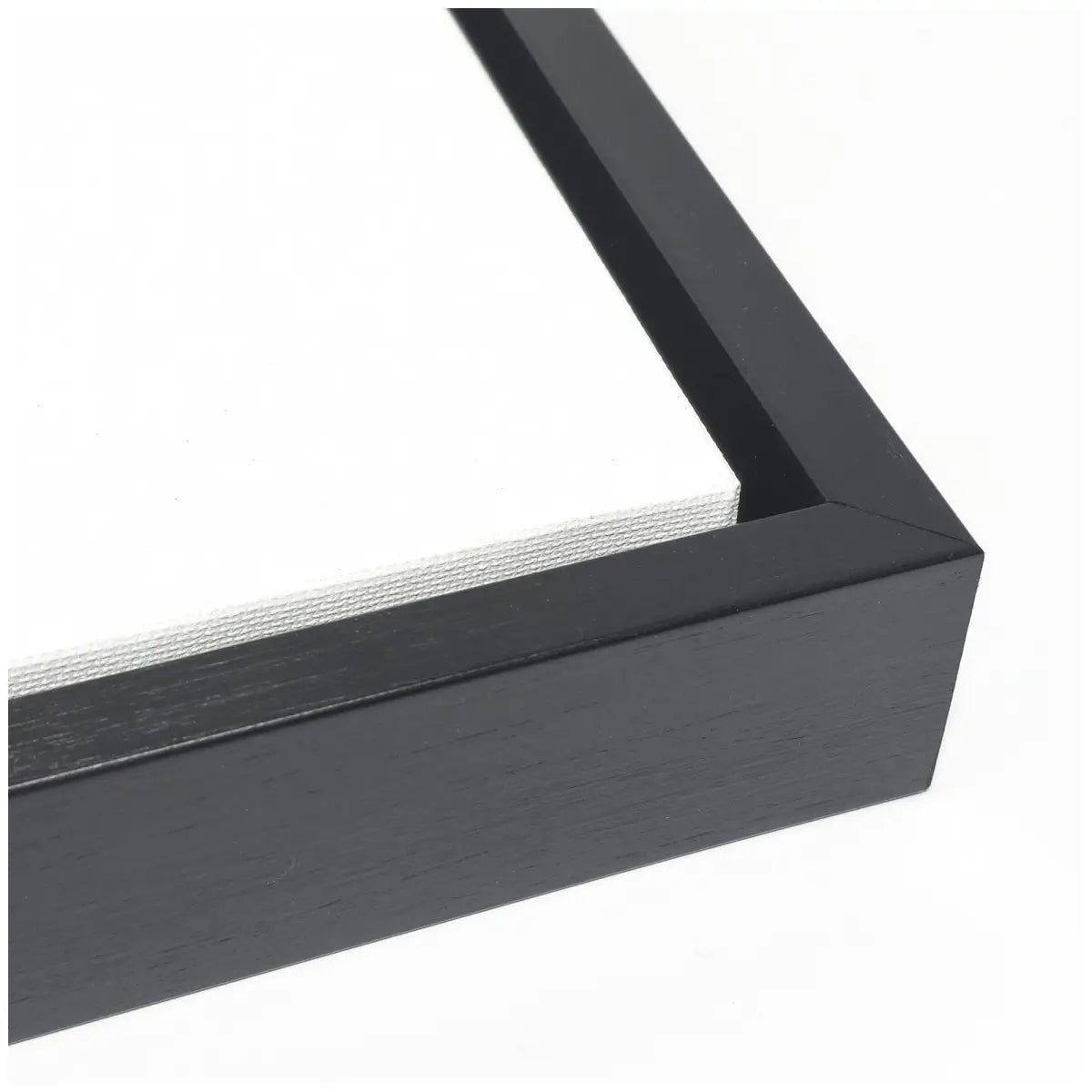 Modern Abstract Linework Loofah - Framed Canvas Wall Art Print - kateandlaurel