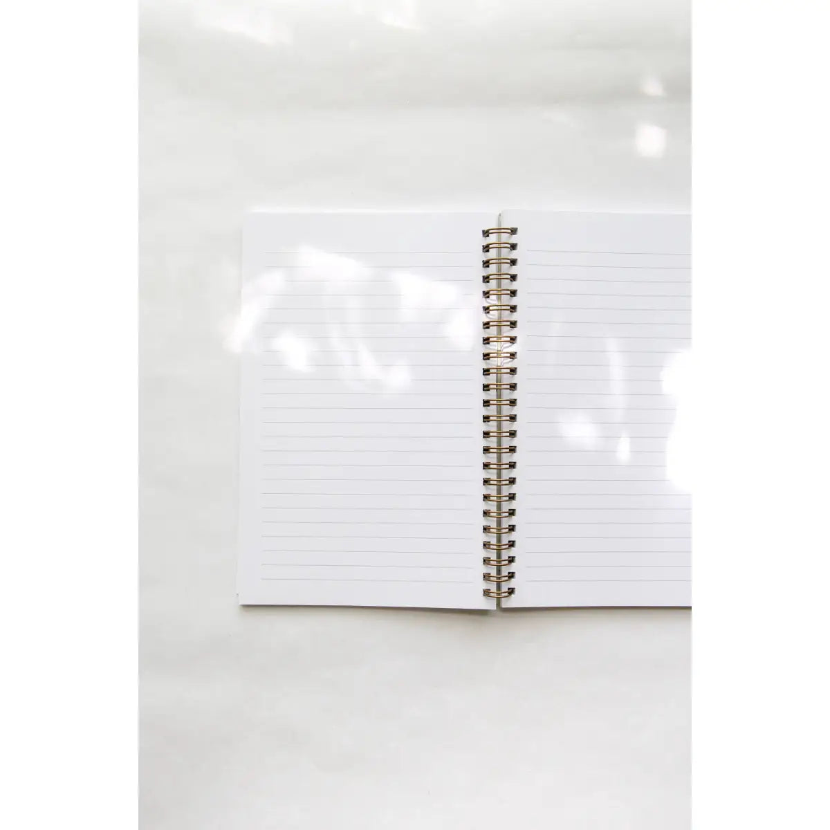 Notebook - Monarch Butterflies + Milkweed - Spiral Bound - Root & Branch Paper Co.