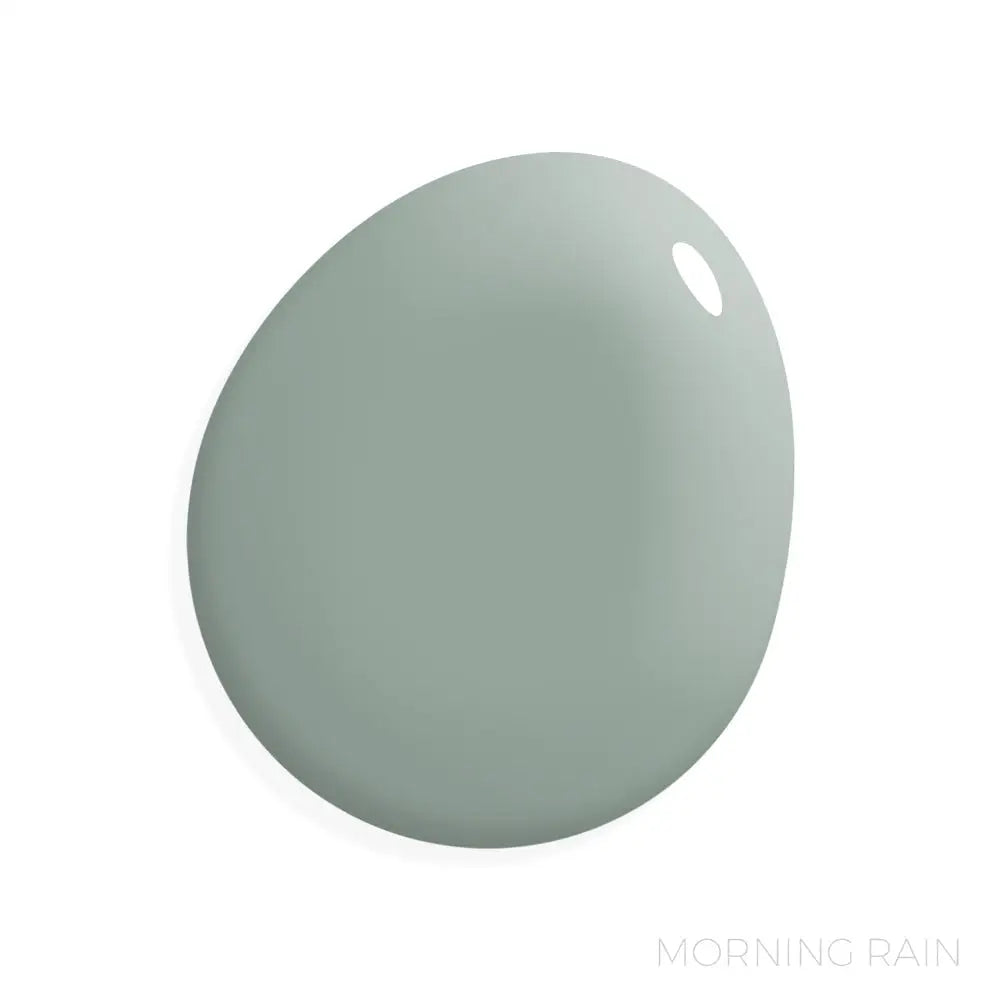 Morning Rain - Manor Borne Wall Paint - Amy Howard At Home