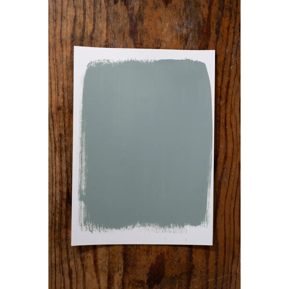 Morning Rain - Manor Borne Wall Paint - Amy Howard At Home