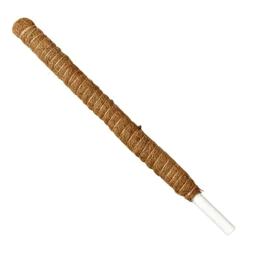 Moss Pole for Houseplants - 22in. - House Plant Shop