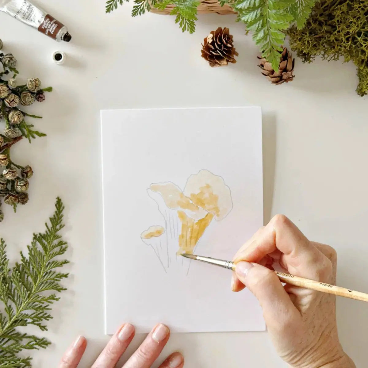 Watercolor Notecard Set - Mushrooms - Paintable - emily lex studio