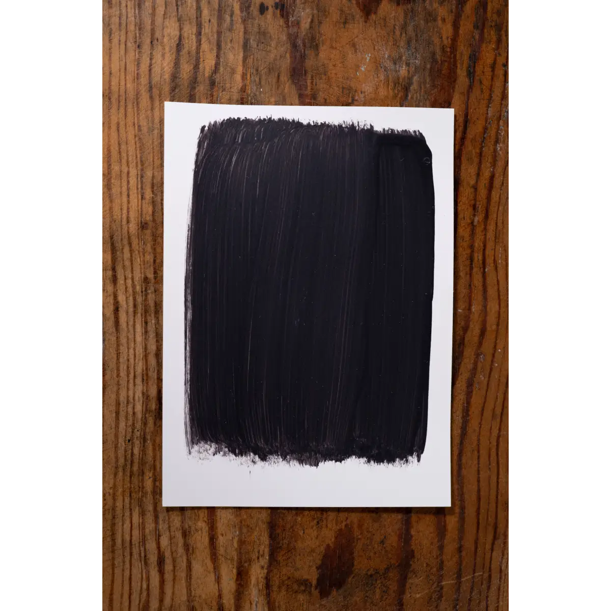 Nantucket Nights - Manor Borne Wall Paint - Amy Howard At Home