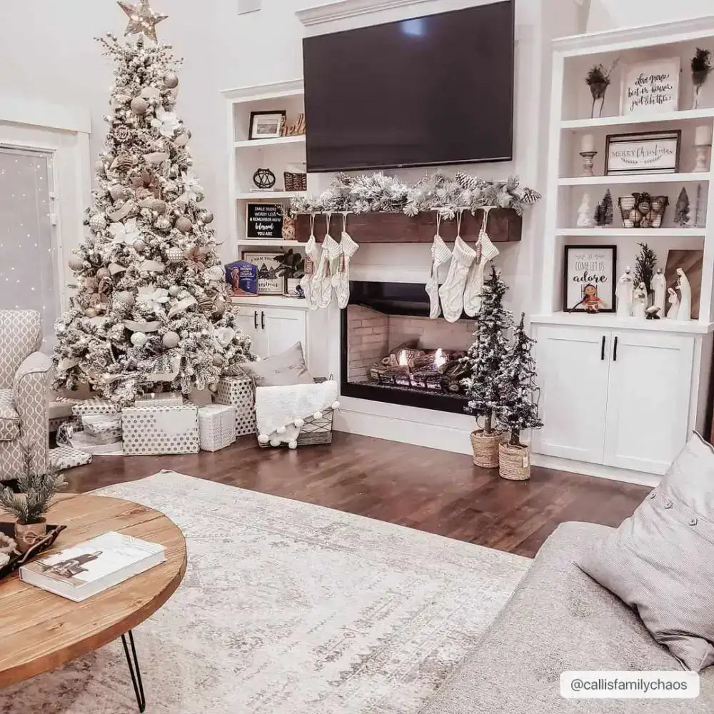 Nelsonville Area Rug - Boutique Rugs