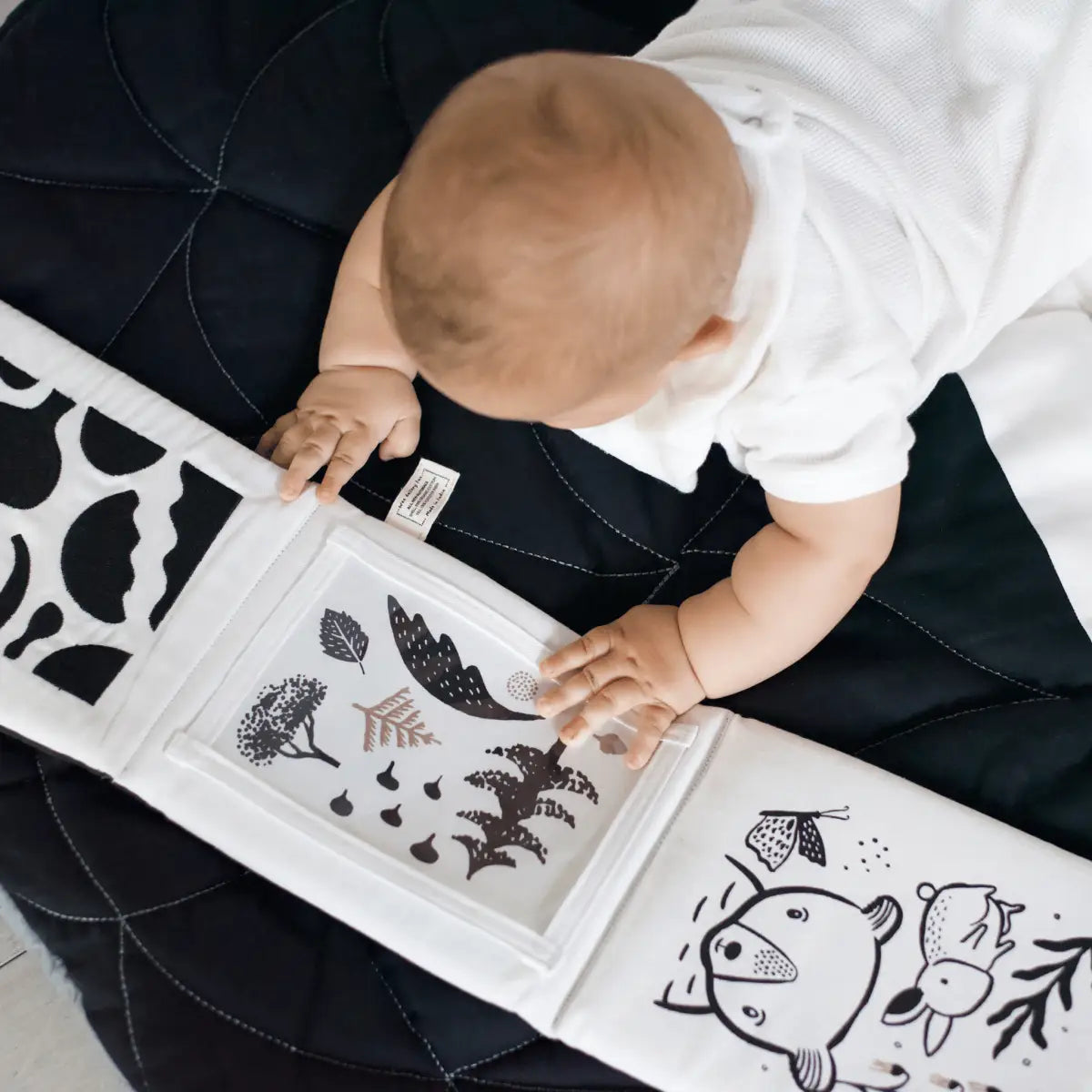 Newborn Baby Gift Set - Safari - Wee Gallery