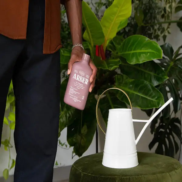 Organic Bio Fungicide for Houseplants - House Plant Shop