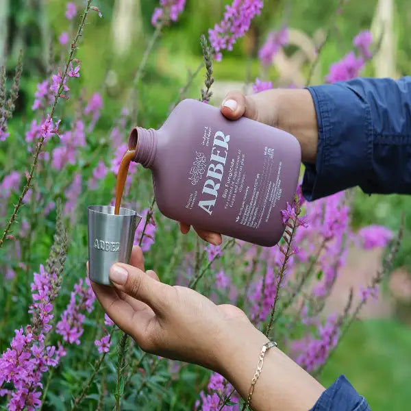 Organic Bio Fungicide for Houseplants - House Plant Shop