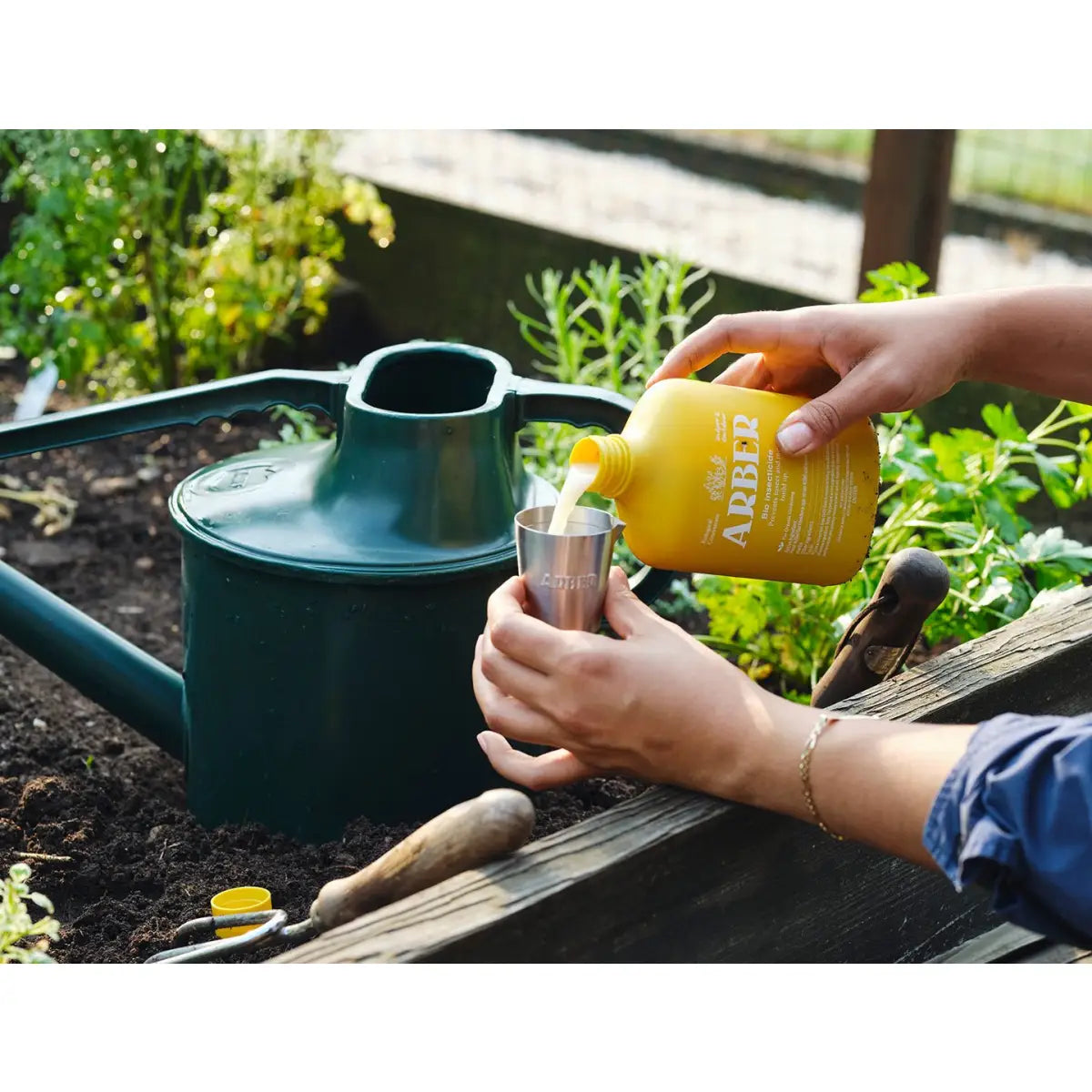 Organic Bio Insecticide - Natural Pest Control for House Plants - House Plant Shop