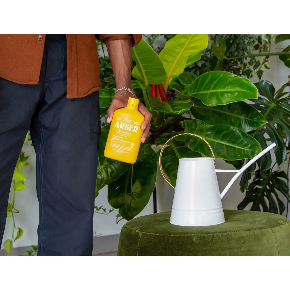 Organic Bio Insecticide - Natural Pest Control for House Plants - House Plant Shop