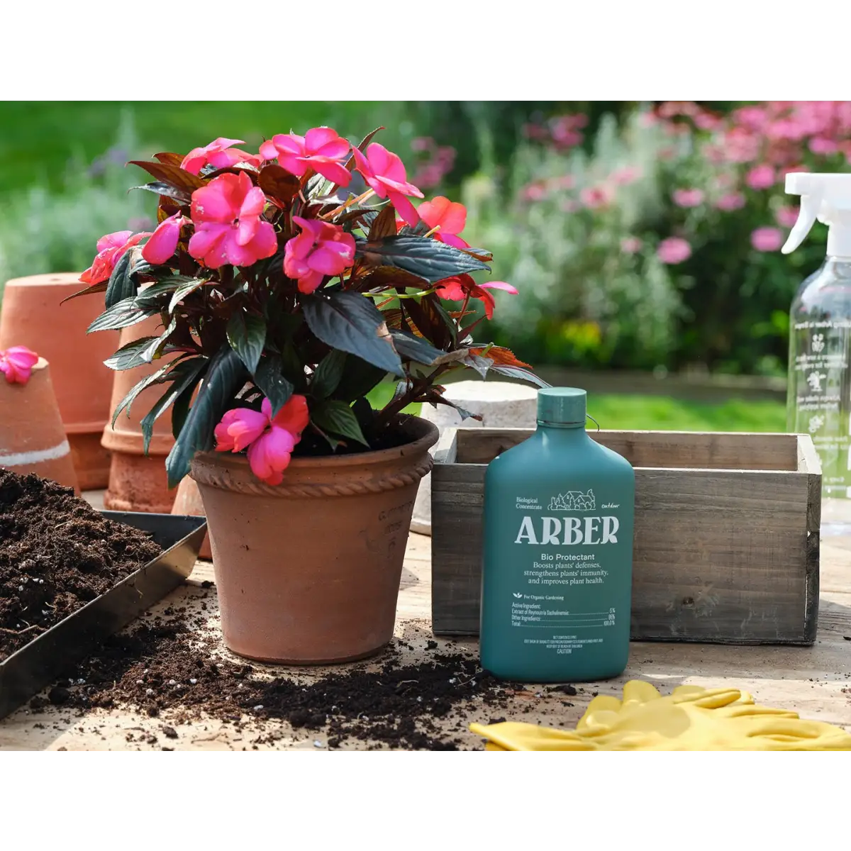 Organic Bio Protectant | Natural Disease Prevention for Plants | House Plant Shop - House Plant Shop