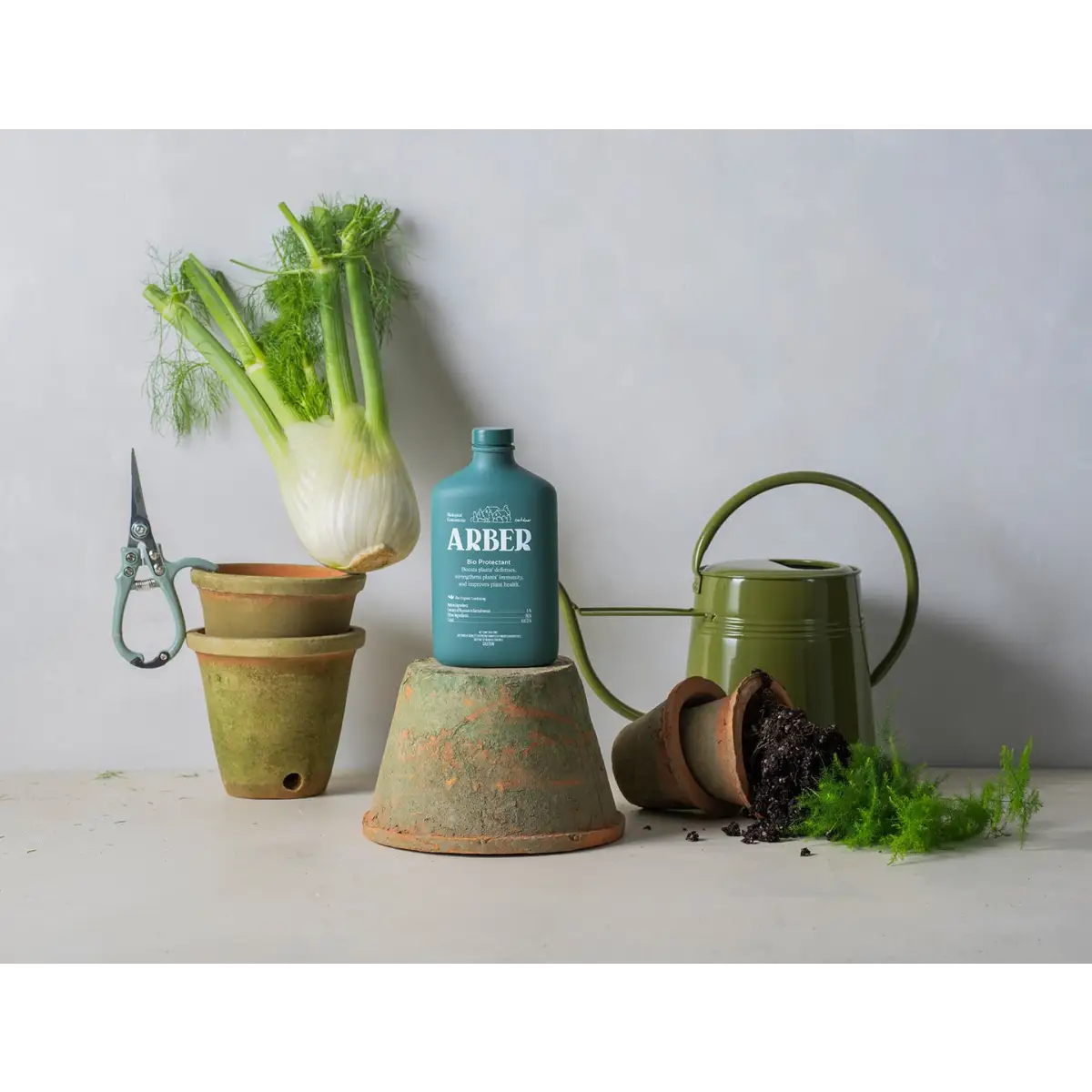 Organic Bio Protectant | Natural Disease Prevention for Plants | House Plant Shop - House Plant Shop