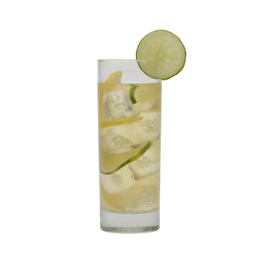 Organic Green Tea with Coconut - Fresh Brew Iced Tea - Iced Tea Pouches / Bag of 15 Pouches - Harney & Sons Fine Teas