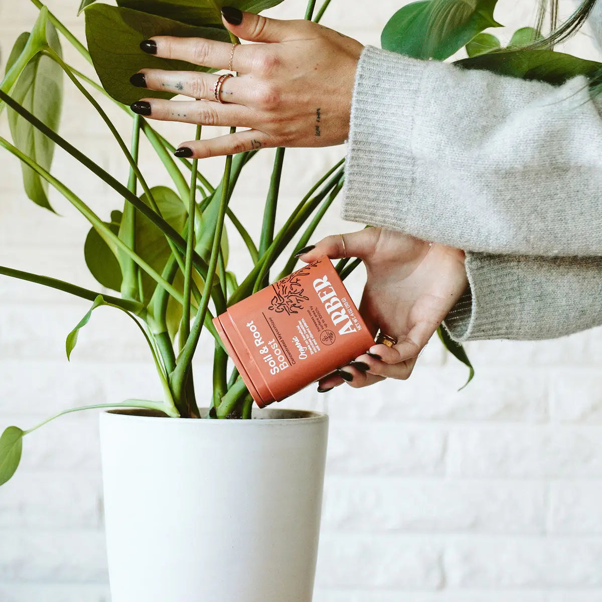Organic Soil & Root Boost | Mycorrhizae & Beneficial Microbes | House Plant Shop - House Plant Shop