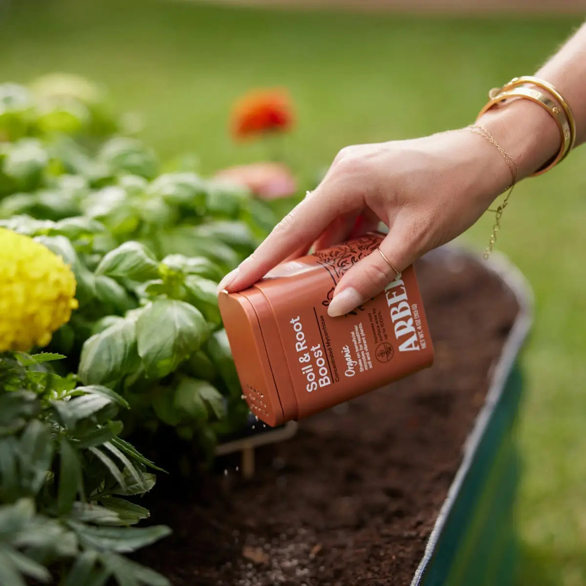 Organic Soil & Root Boost | Mycorrhizae & Beneficial Microbes | House Plant Shop - House Plant Shop