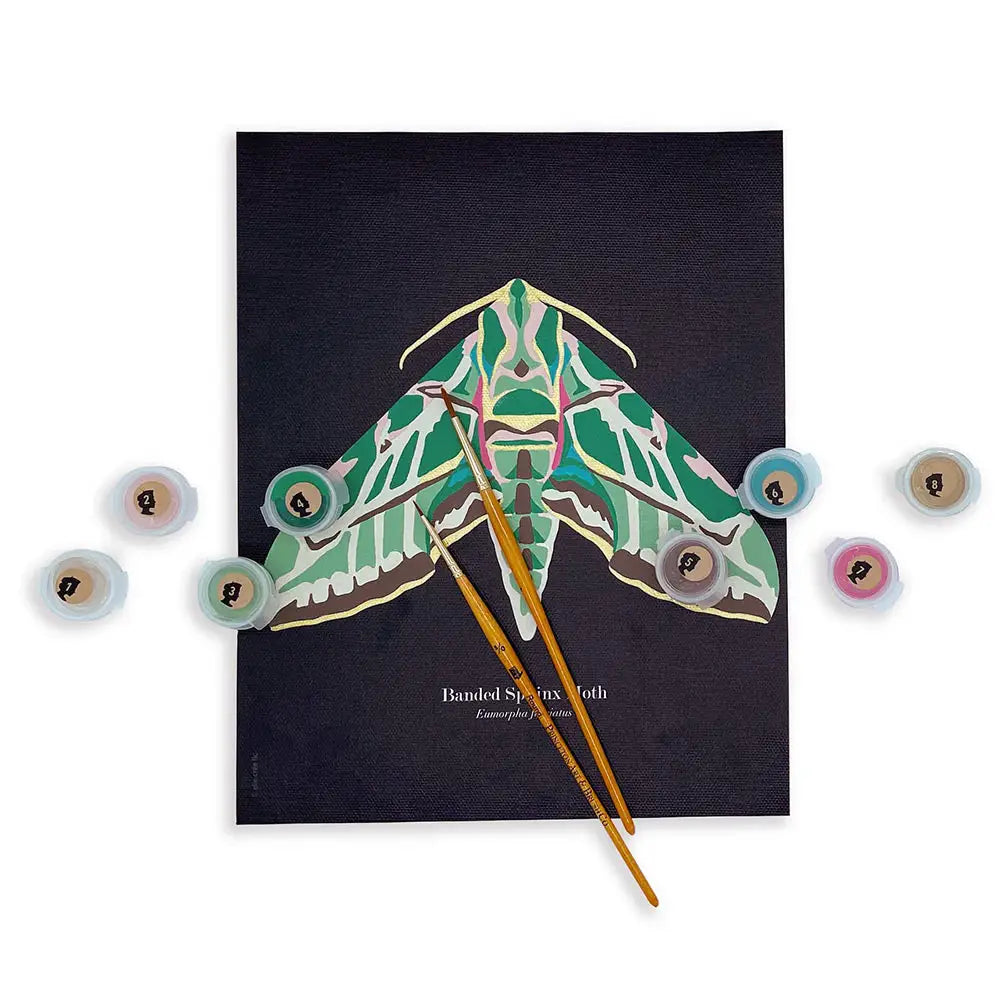 Paint by Number Kit - Banded Sphinx Moth - 8x10 - Elle Crée