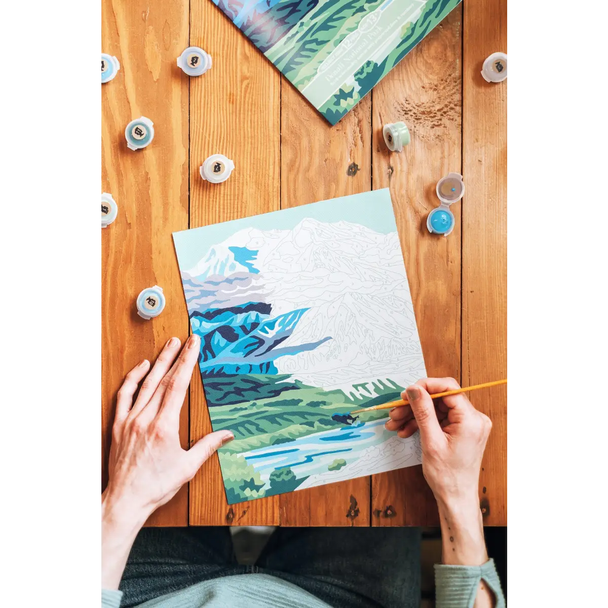 Paint by Number Kit - Denali National Park - Elle Crée