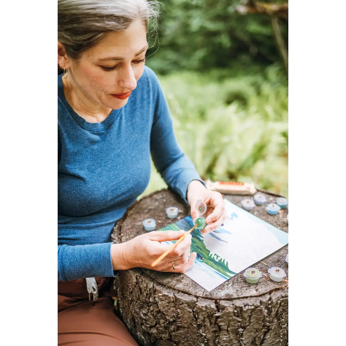 Paint by Number Kit - Denali National Park - Elle Crée