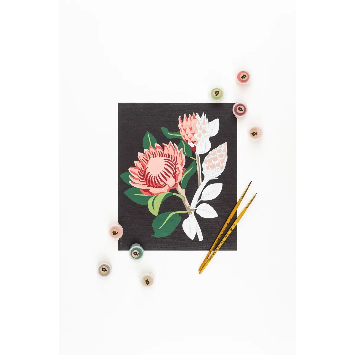 Paint by Number Kit - King Protea Blooms - Elle Crée