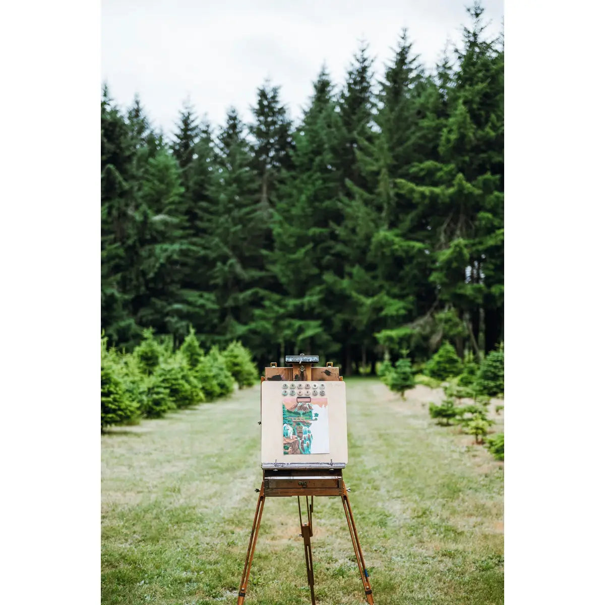 Paint by Number Kit - Mount Rainier National Park - Elle Crée
