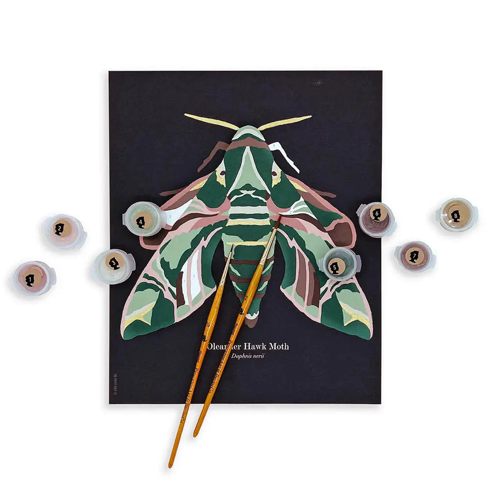Paint by Number Kit - Oleander Hawk Moth - 8x10 - Elle Crée
