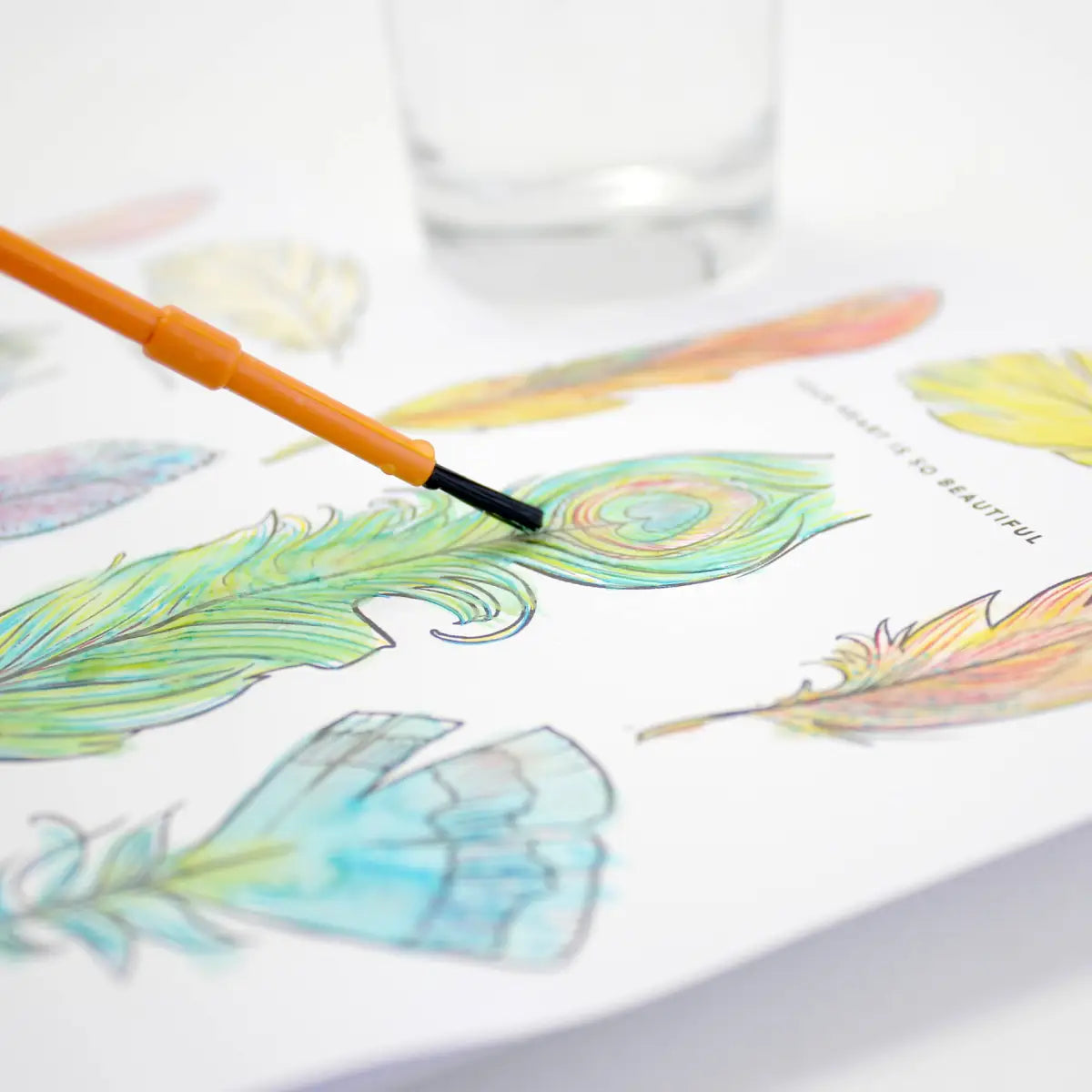 Paint with Water Greeting Card - Feathers - Inklings Paperie