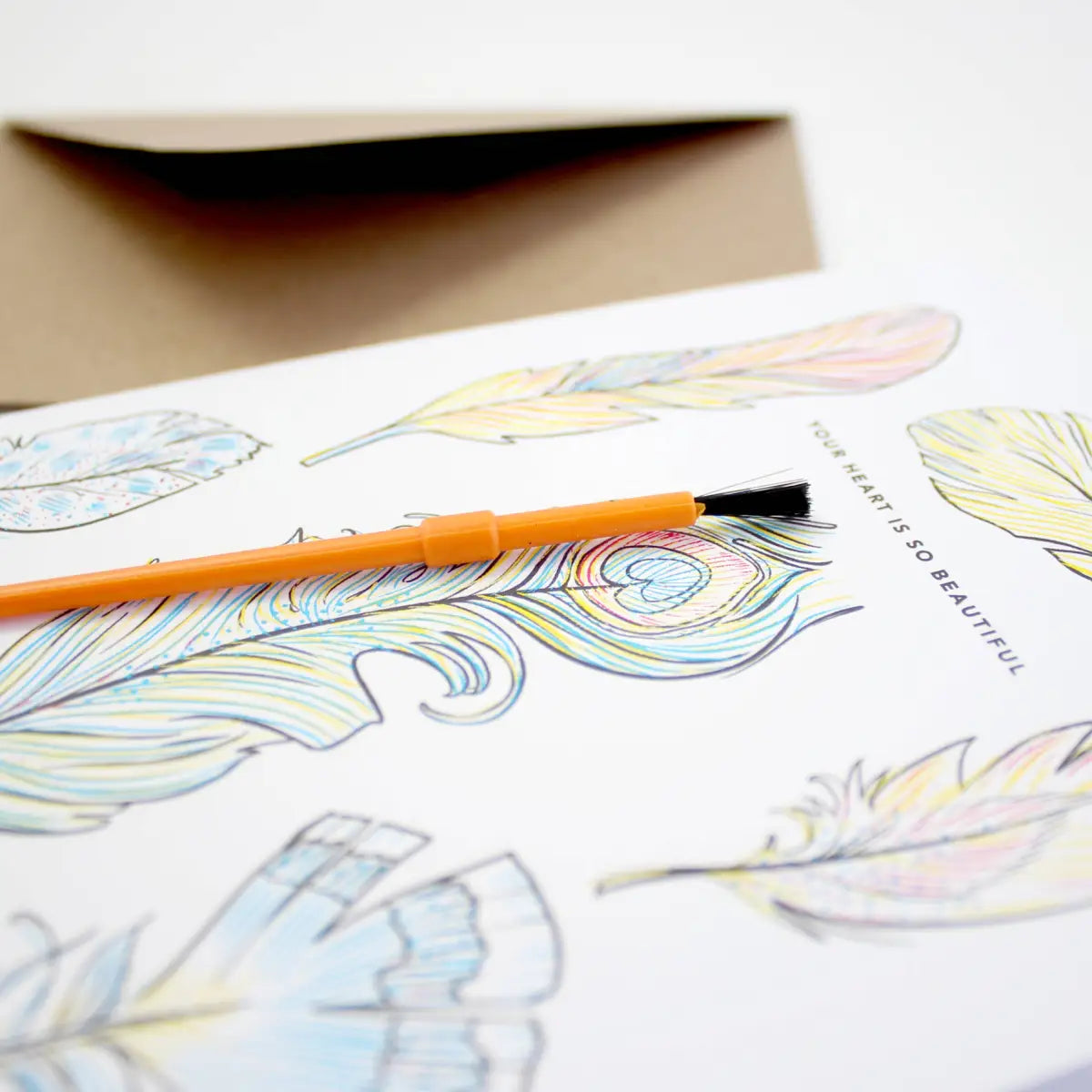 Paint with Water Greeting Card - Feathers - Inklings Paperie