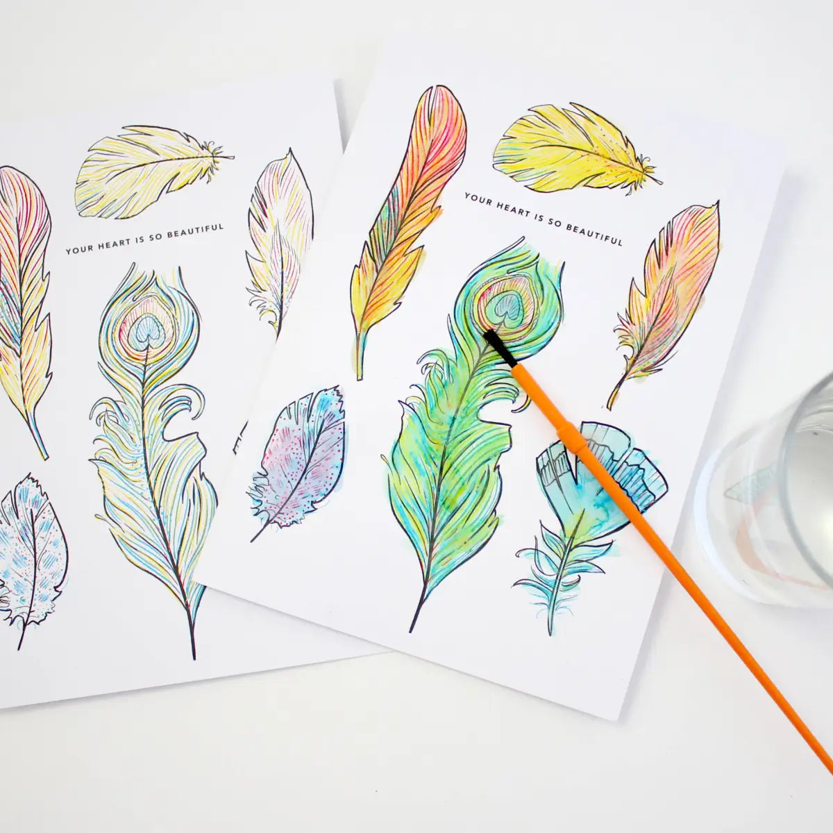 Paint with Water Greeting Card - Feathers - Inklings Paperie