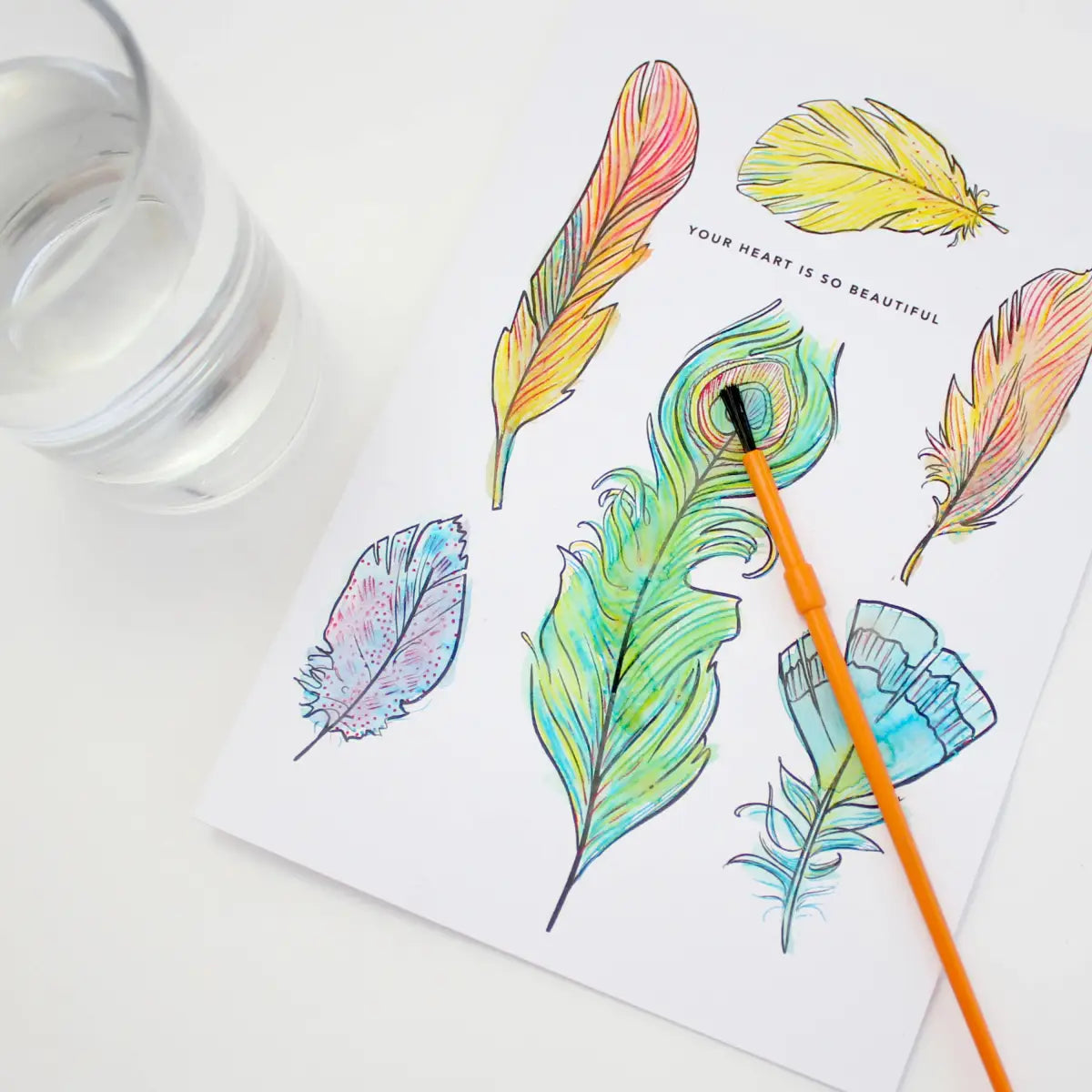 Paint with Water Greeting Card - Feathers - Inklings Paperie