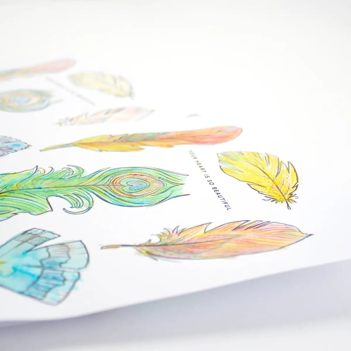 Paint with Water Greeting Card - Feathers - Inklings Paperie