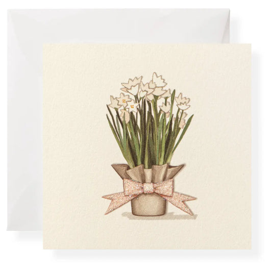 Gift Enclosure Card - Paperwhites - Karen Adams Designs
