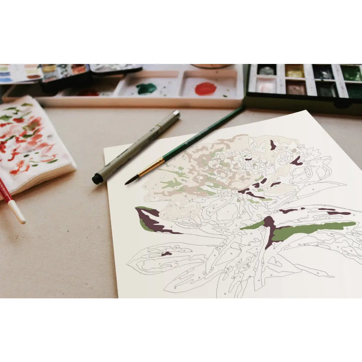 Paint-By Number Kit - Peony Blossoms - Cate Paper Co.