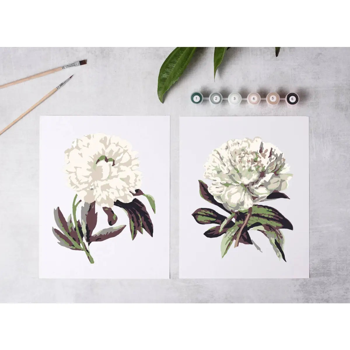 Paint-By Number Kit - Peony Blossoms - Cate Paper Co.