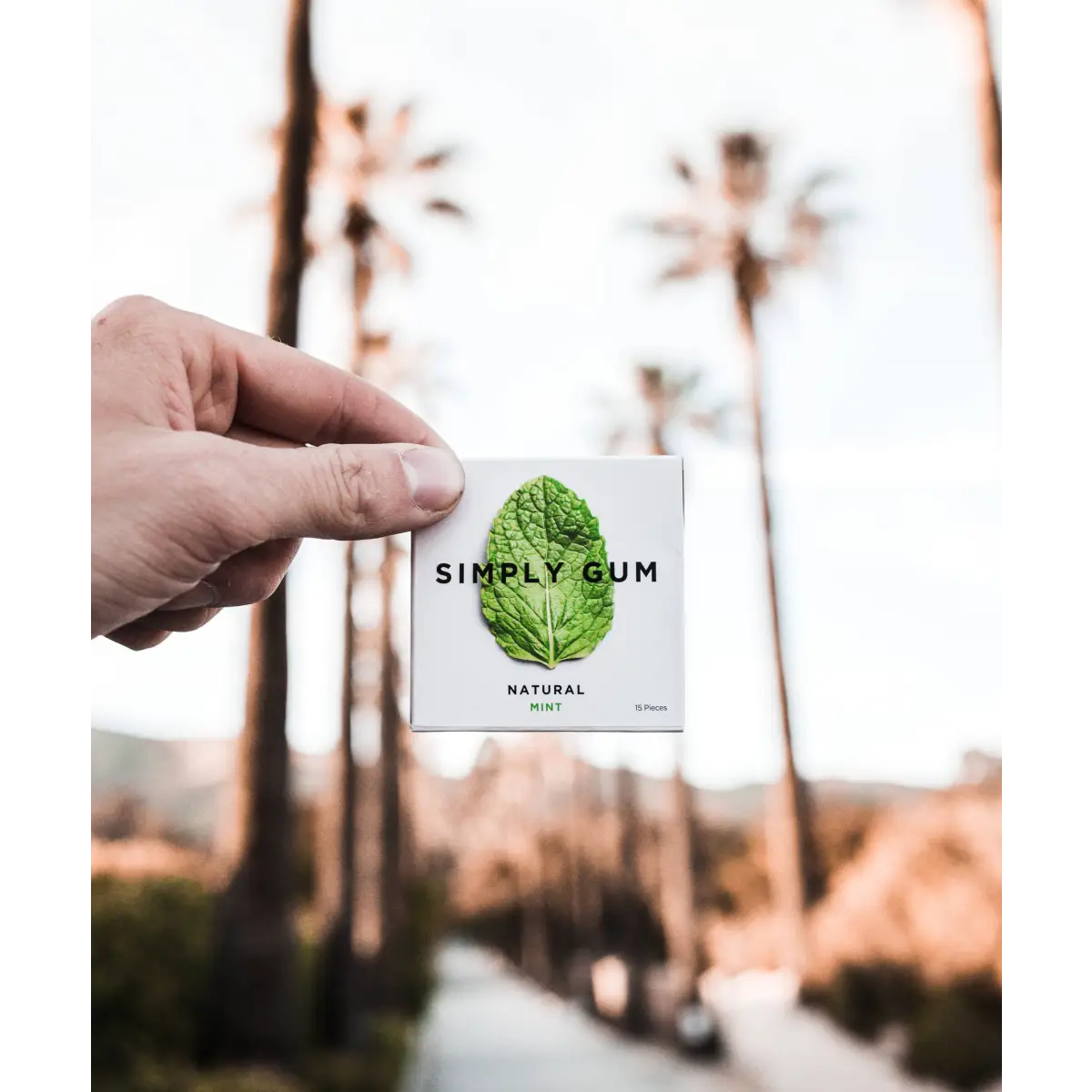 Simply Gum - Peppermint - All-Natural Chewing Gum - Simply Gum