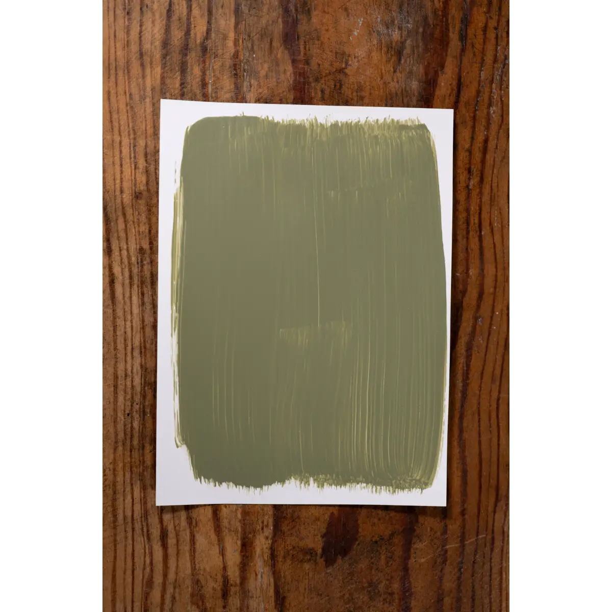 The Perfect Getaway - Manor Borne Wall Paint - Amy Howard At Home