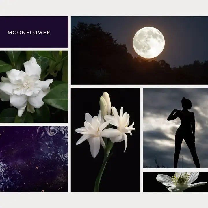 Perfume Oil Roller - Moonflower - Tuberose Jasmine White Florals - Herb & Root