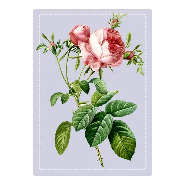 Perfume Oil Roller - Rose - Herb & Root