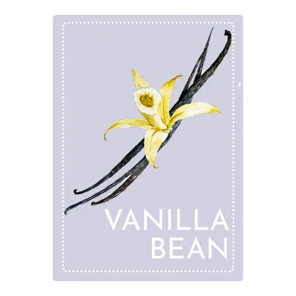 Perfume Oil Roller - Vanilla Bean - Herb & Root