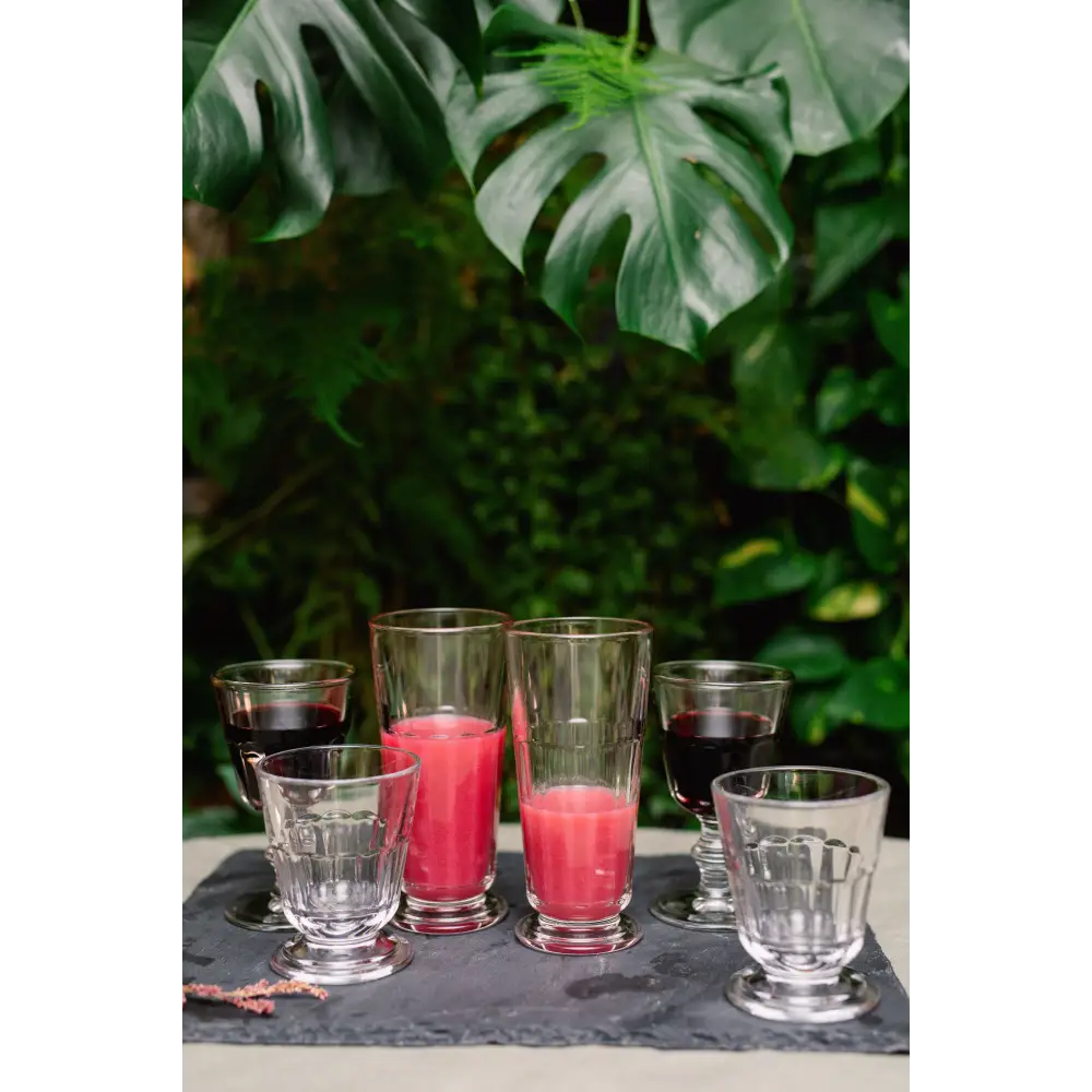 Perigord Highball Glass Set-6 - La Rochere NA