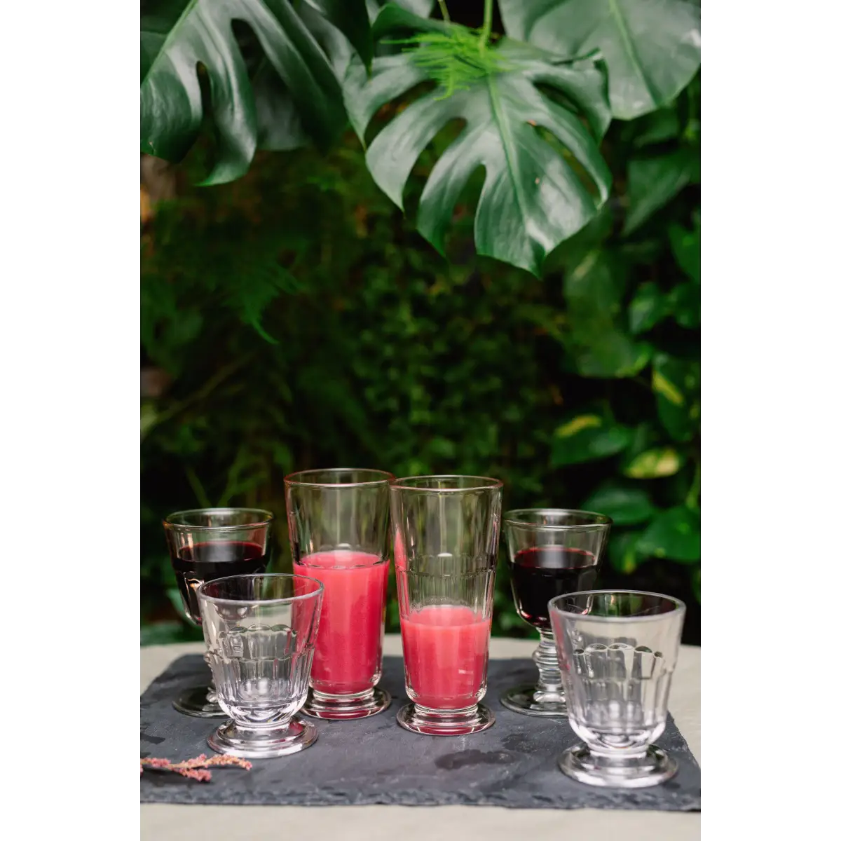 Perigord Tumbler Set-6 - La Rochere NA